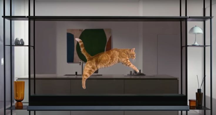 Cat jumping in front of transparent TV