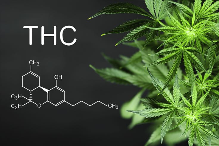 THC drug